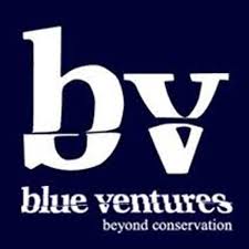 Blue Ventures Logo